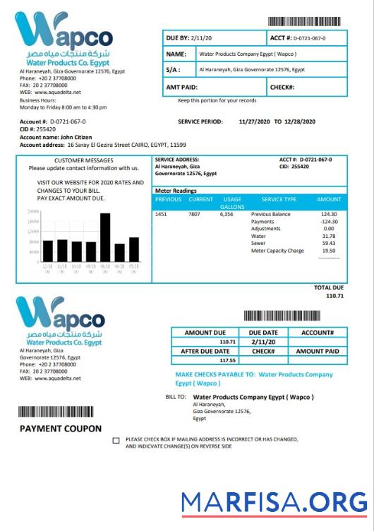 Blank Egypt Water Products Company Egypt (Wapco) utility bill template in Word and PDF format